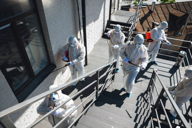 Best Water Damage & Mold Remediation  in , AL