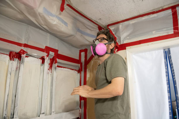 Best Post-Construction Mold Inspection  in , AL