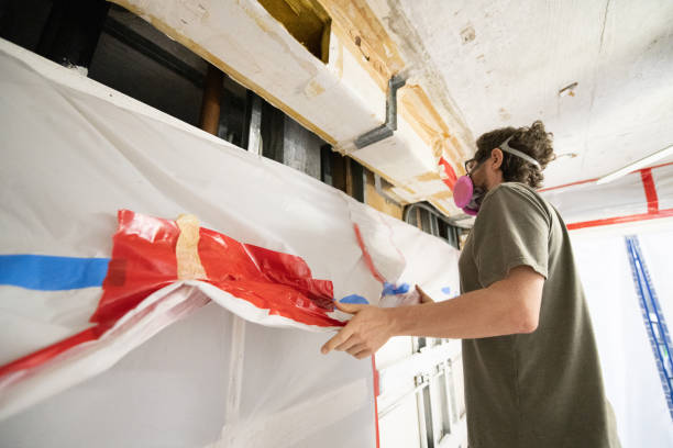 Best Attic Mold Removal  in , AL