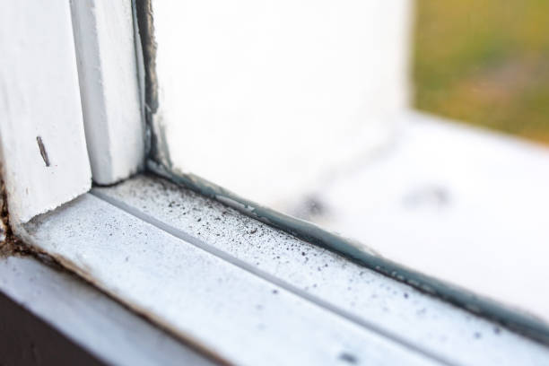 Best Real Estate Mold Inspection  in , AL