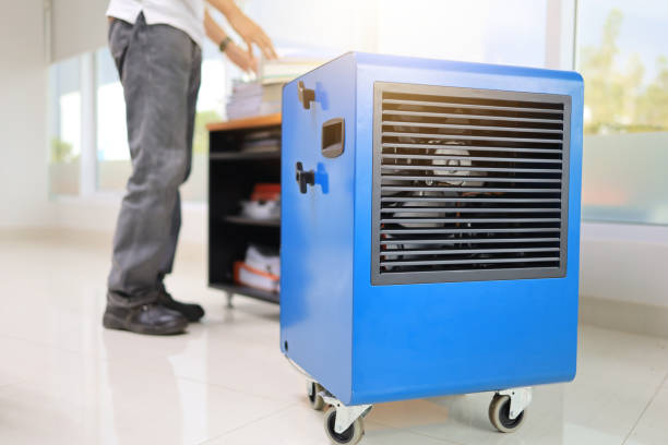 Best Mold Removal for HVAC Installations  in , AL