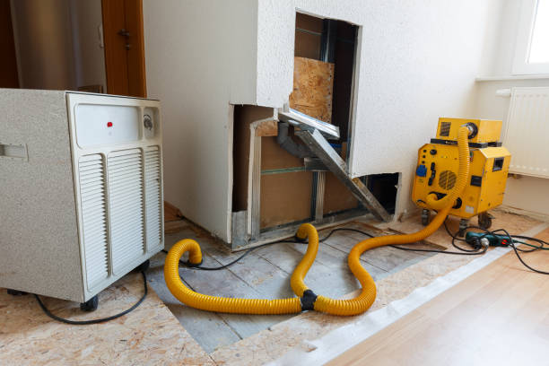 Best Mold Damage Restoration  in , AL