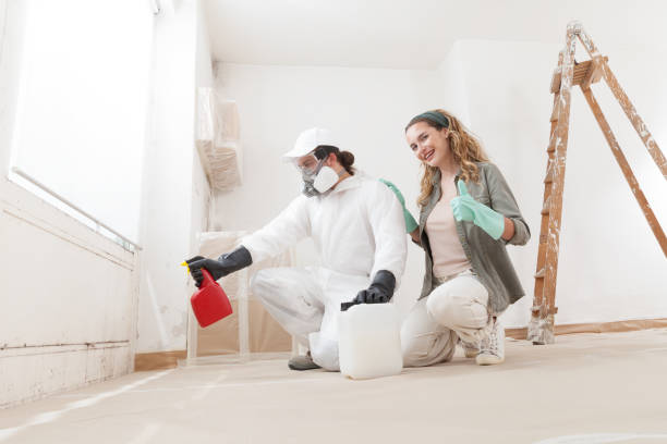 Best Basement Mold Removal  in , AL