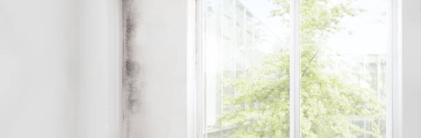 Best Forensic Mold Investigation  in , AL