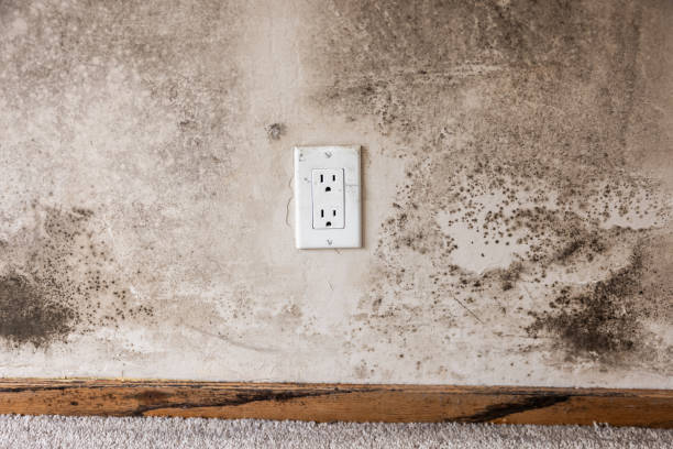 Best Indoor Air Quality Assessment  in , AL