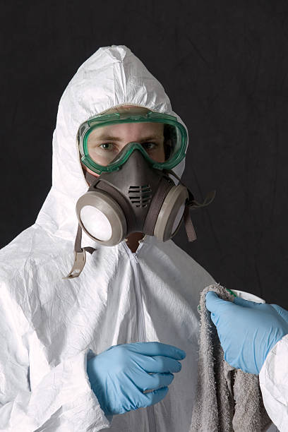 Best Mold Prevention Services  in , AL